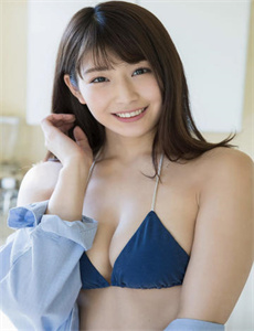 李卫辞官电视剧